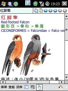上传的图片