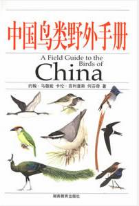 上传的图片