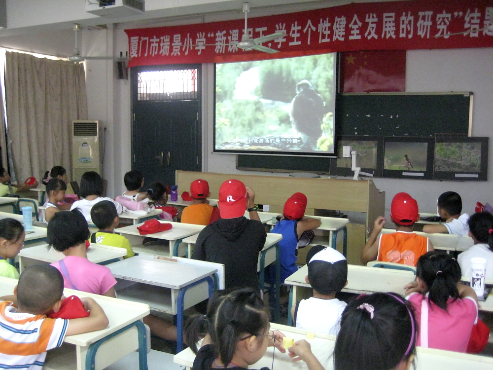上传的图片