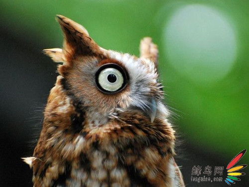 上传的图片