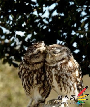 上传的图片