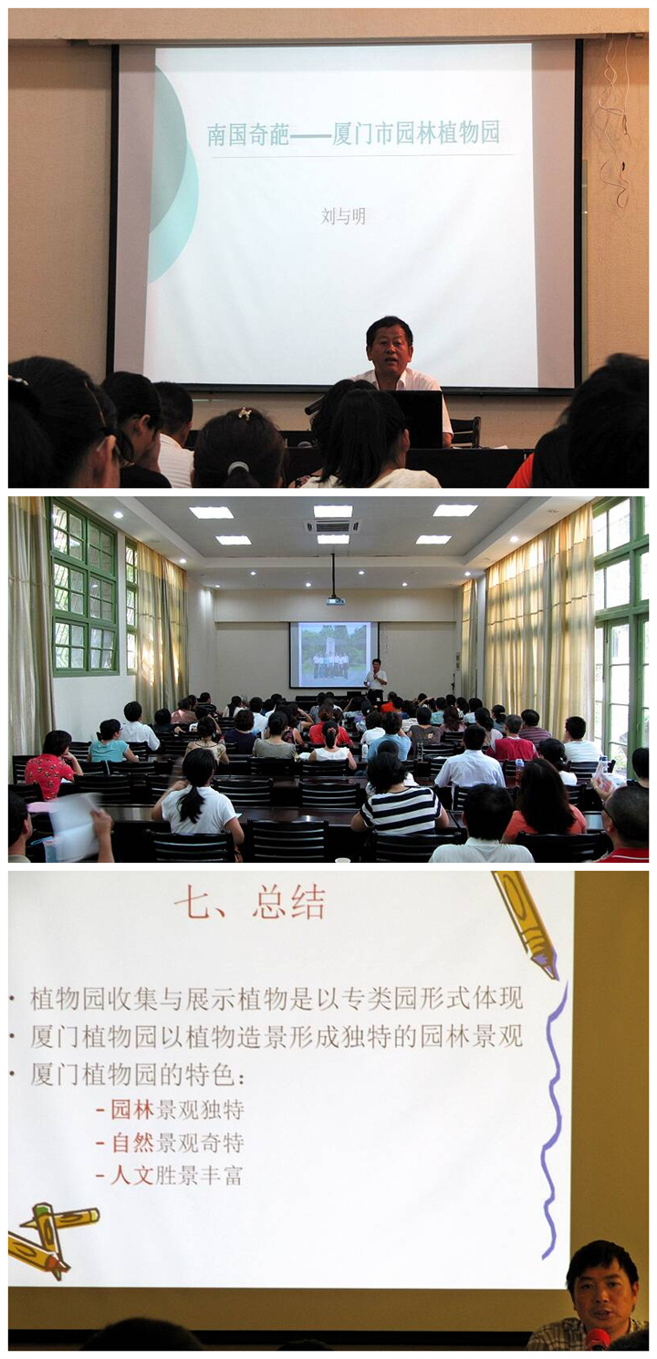 上传的图片