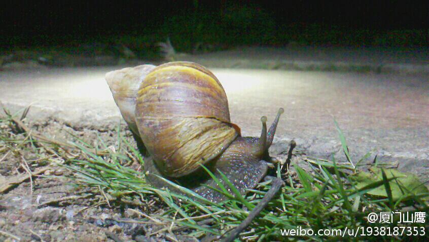 上传的图片