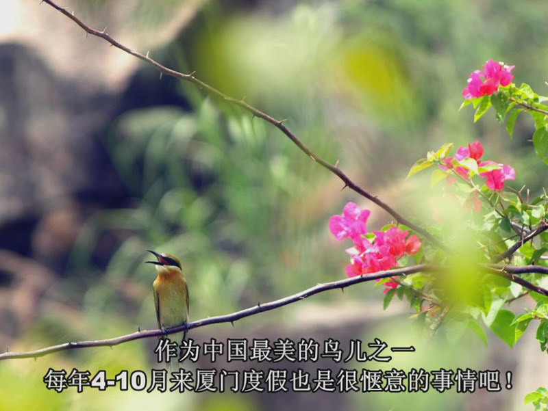 上传的图片