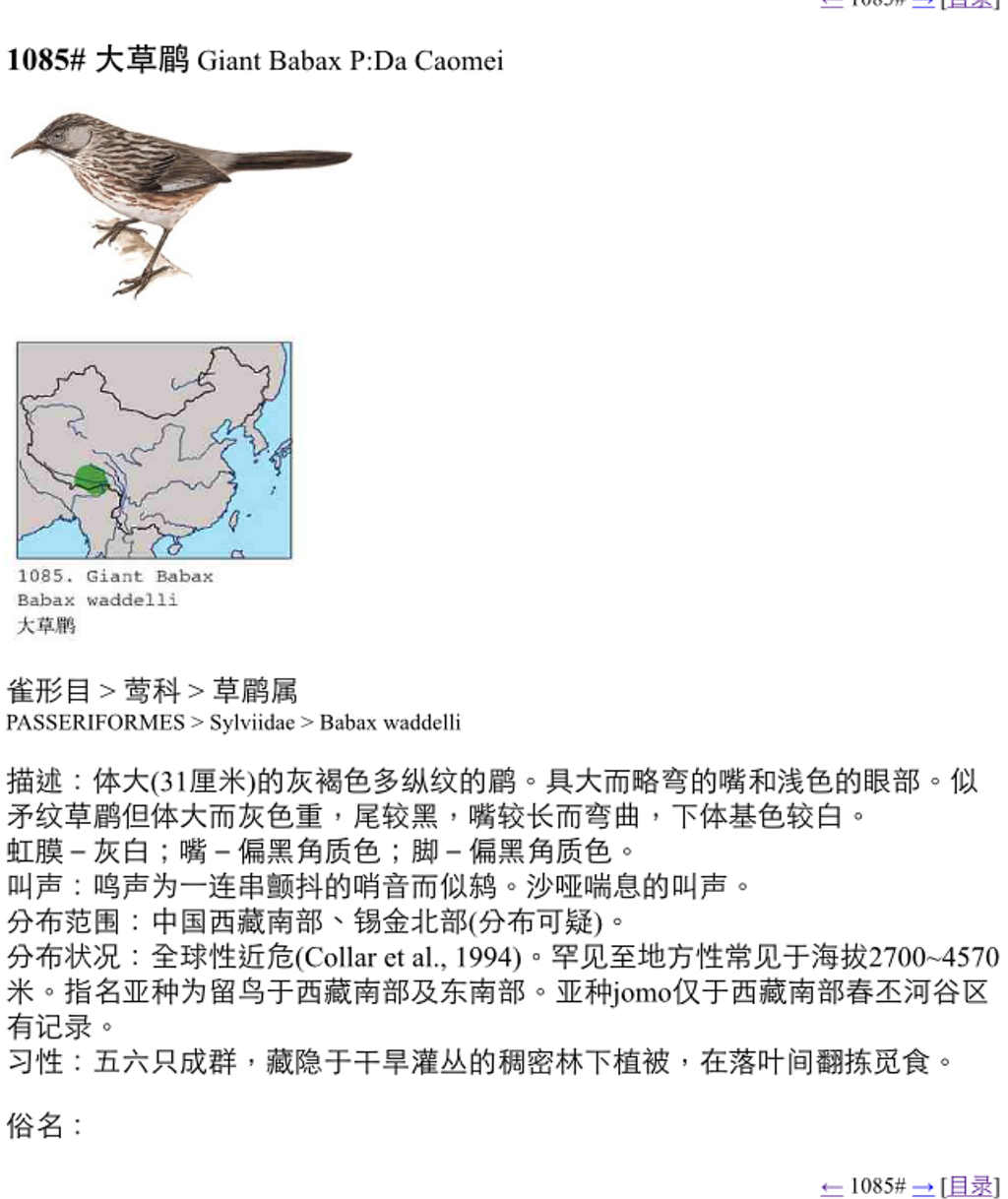 上传的图片