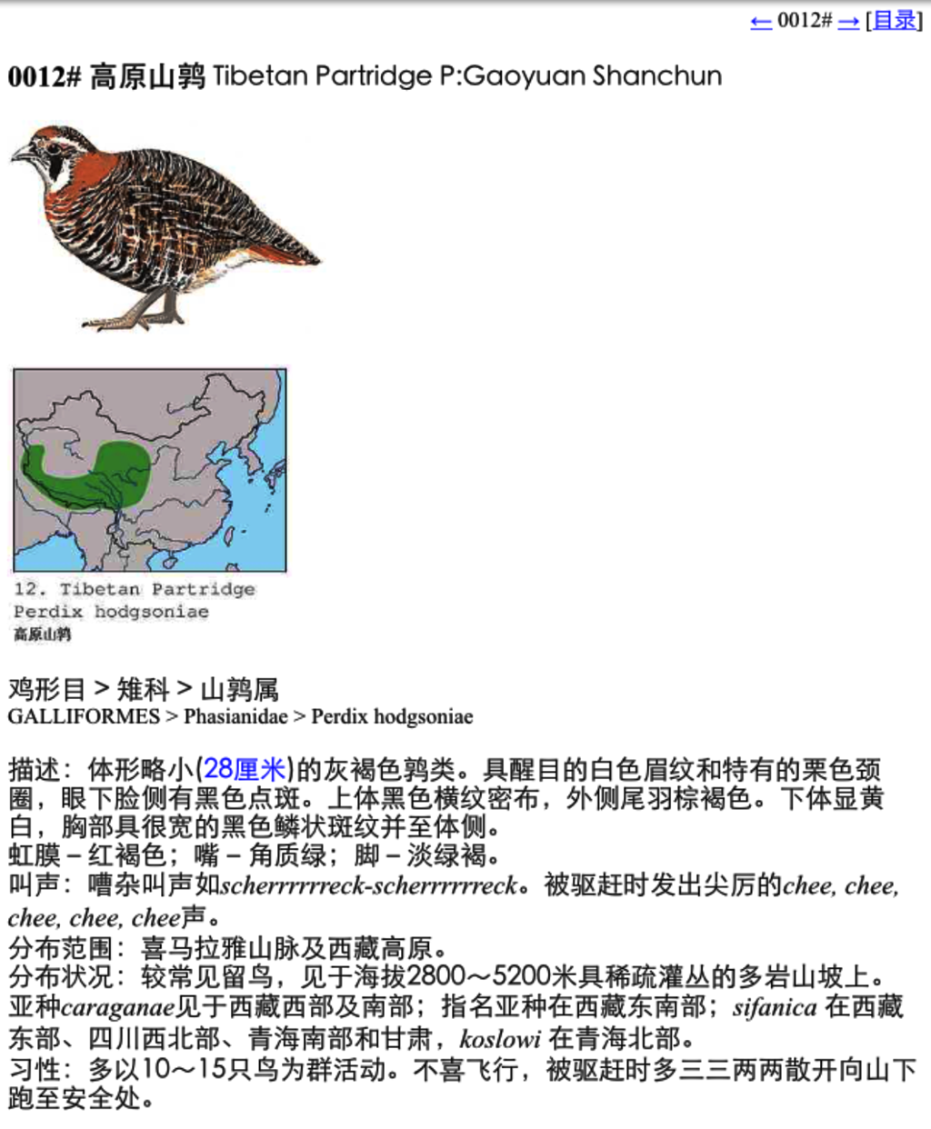 上传的图片