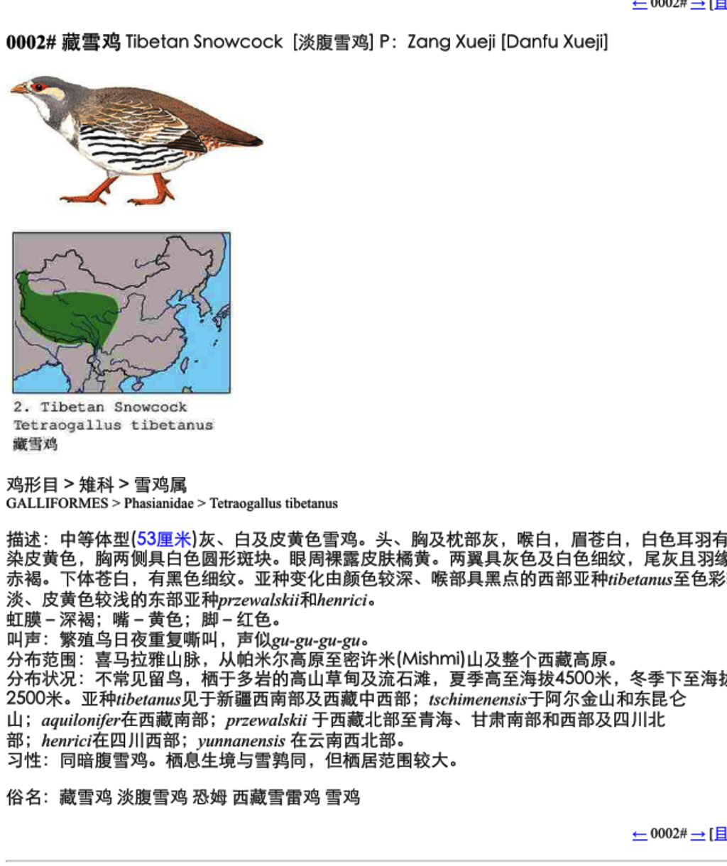 上传的图片