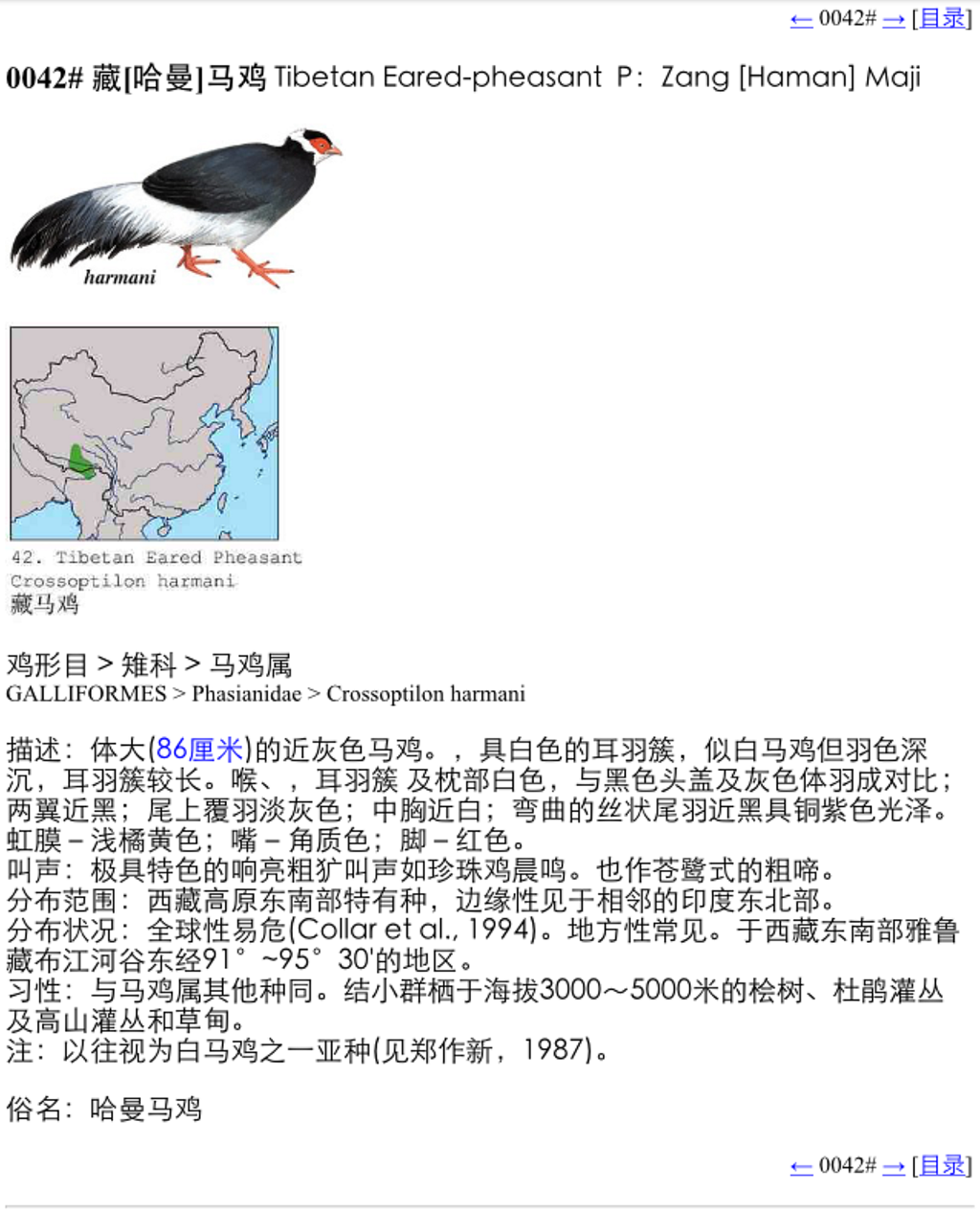 上传的图片