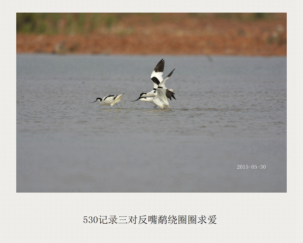 上传的图片