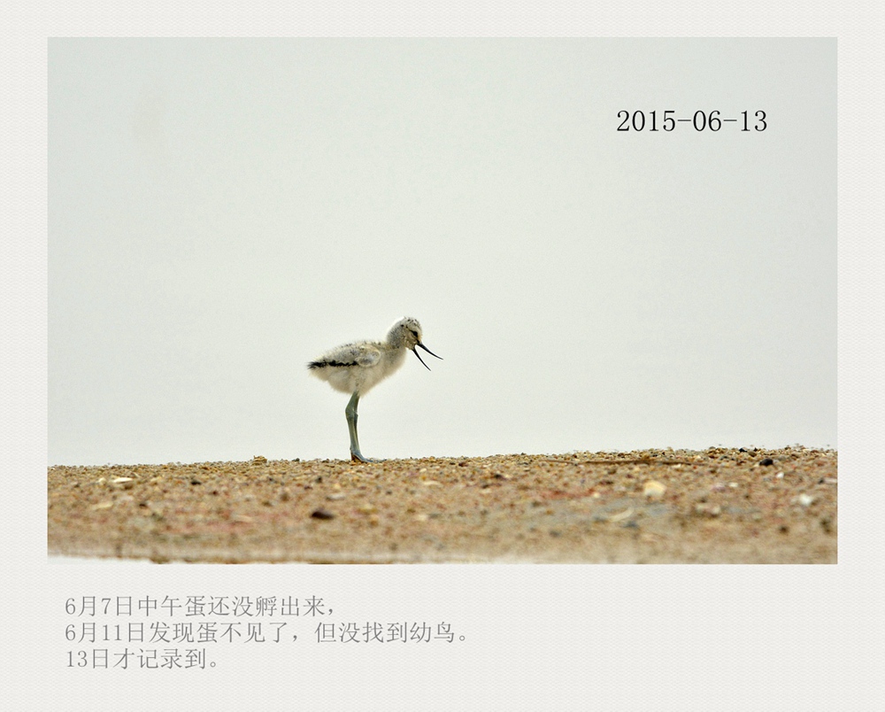 上传的图片