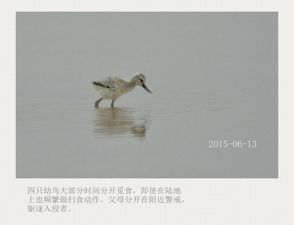 上传的图片