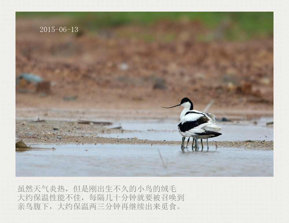 上传的图片