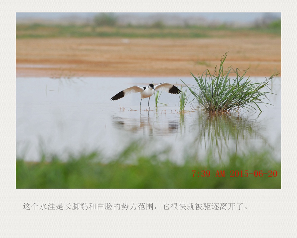 上传的图片