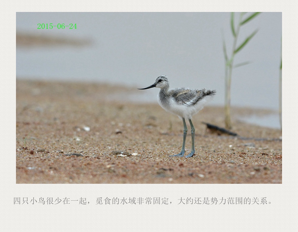 上传的图片