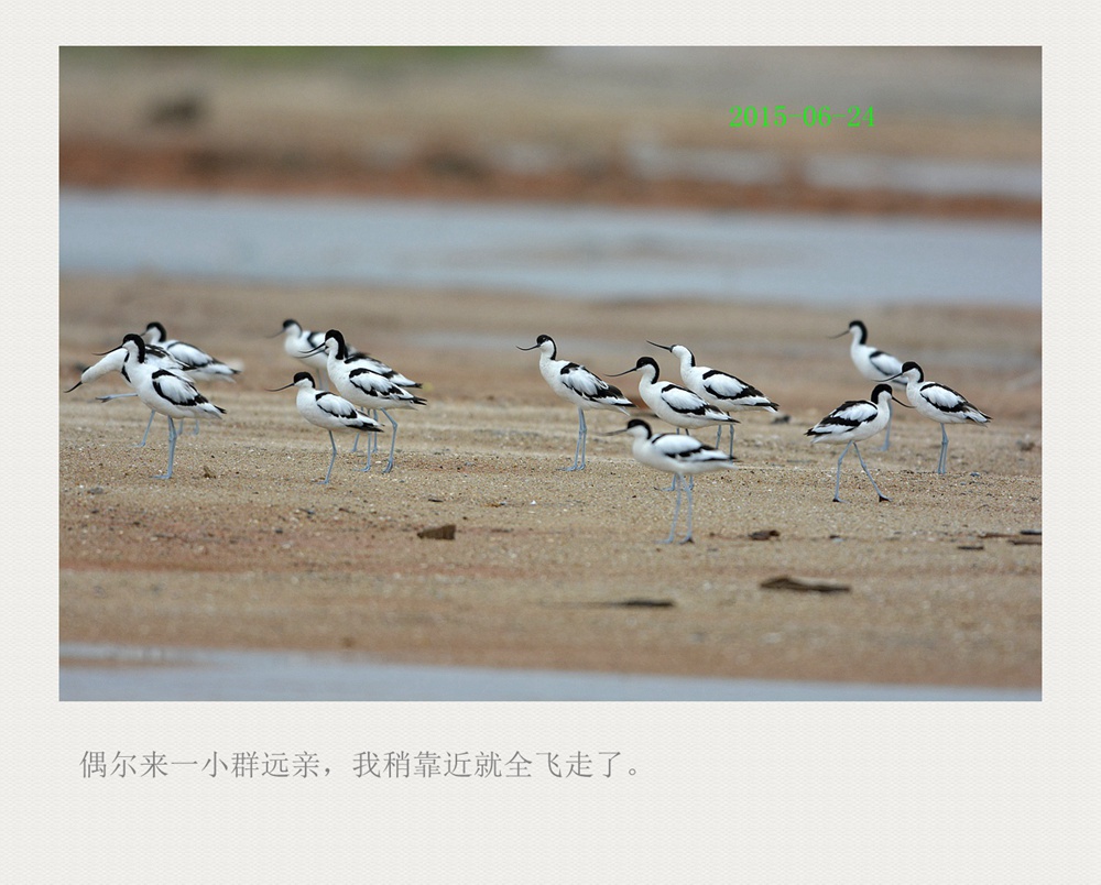 上传的图片