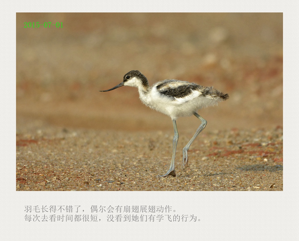 上传的图片