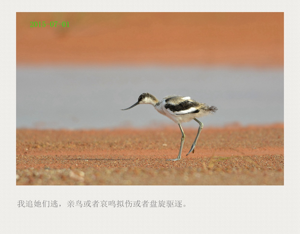 上传的图片