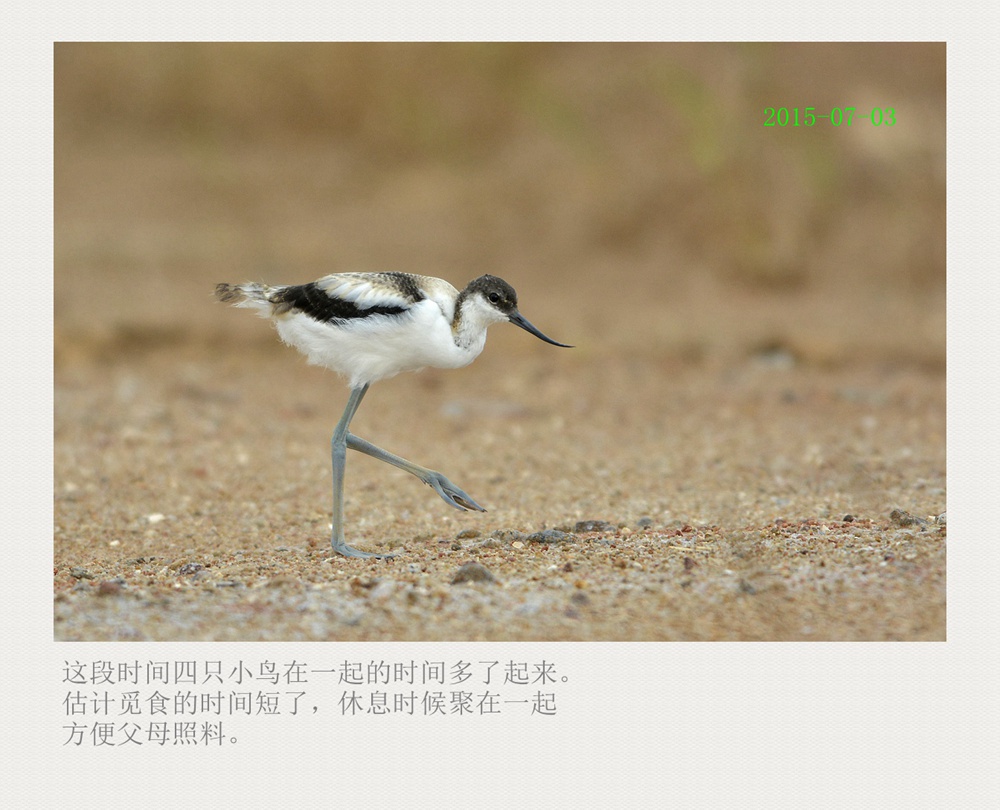 上传的图片