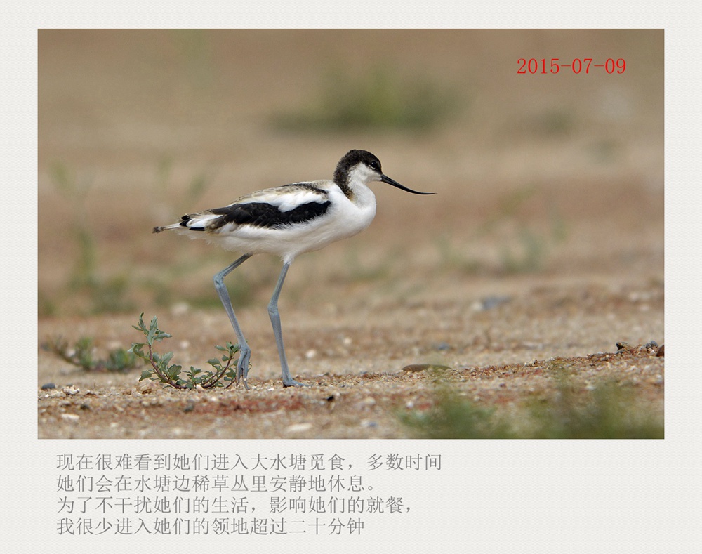 上传的图片