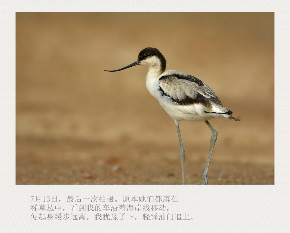 上传的图片