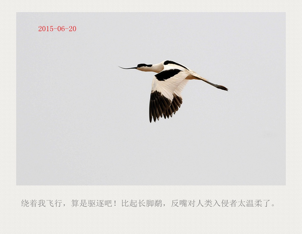 上传的图片