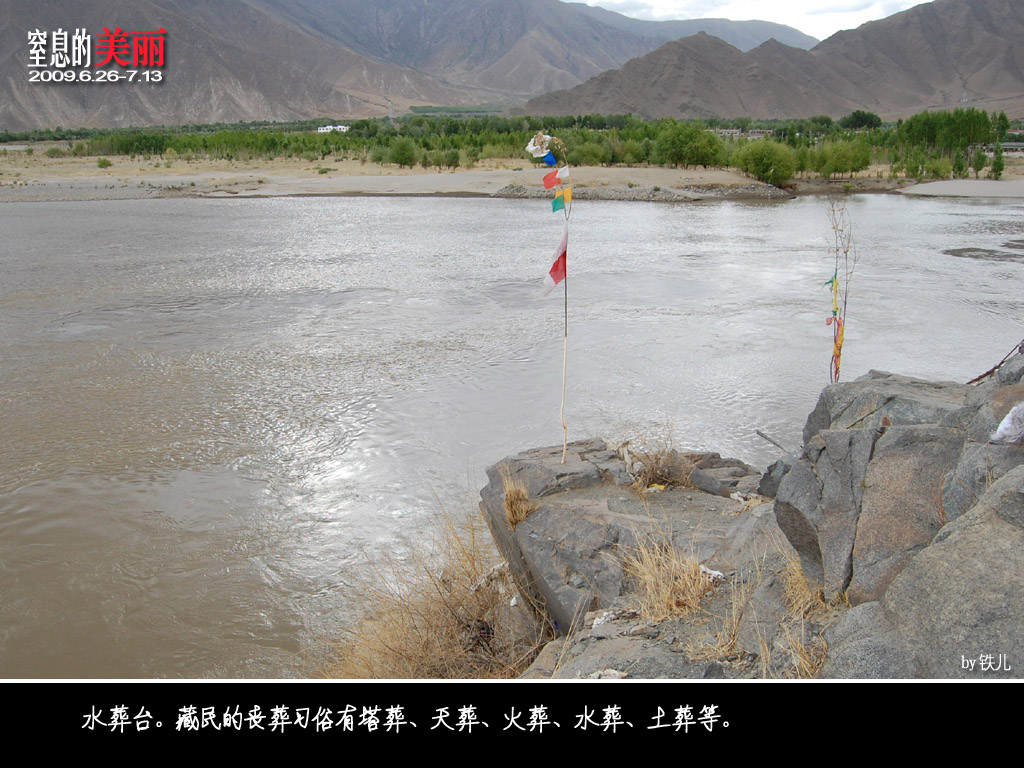 上传的图片