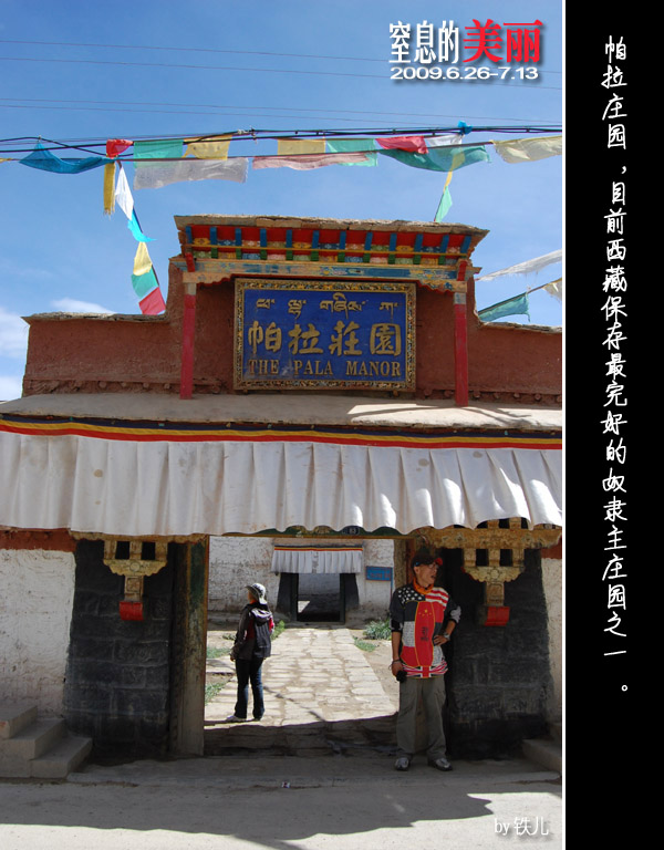 上传的图片