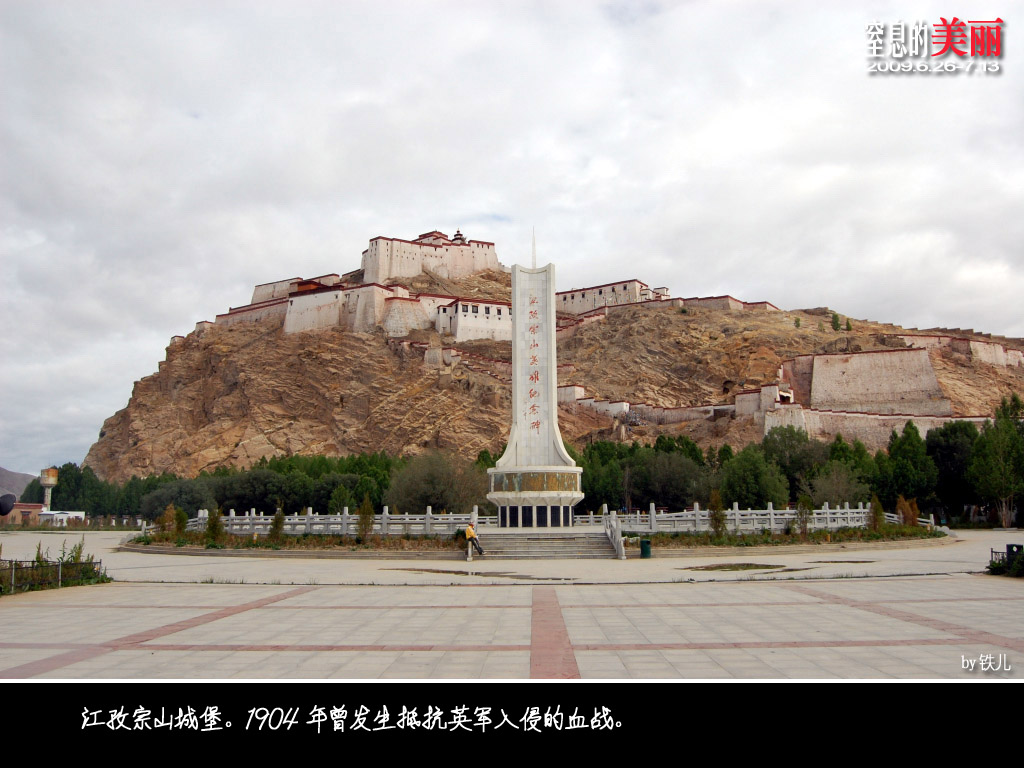 上传的图片