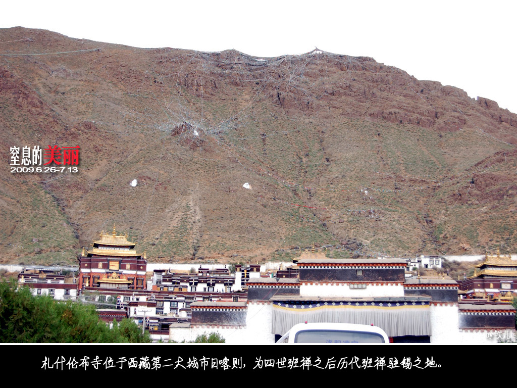上传的图片