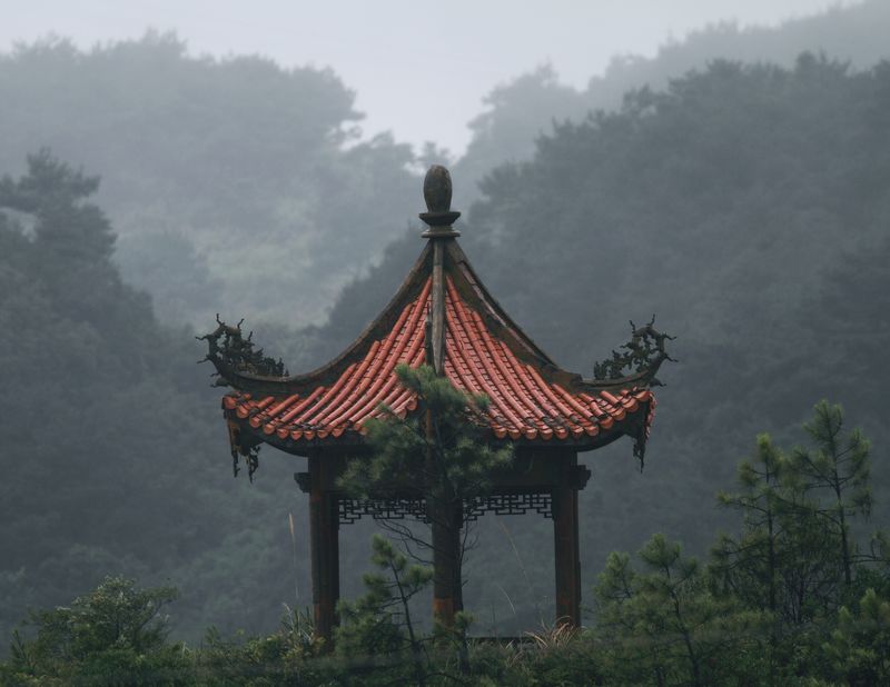 上传的图片