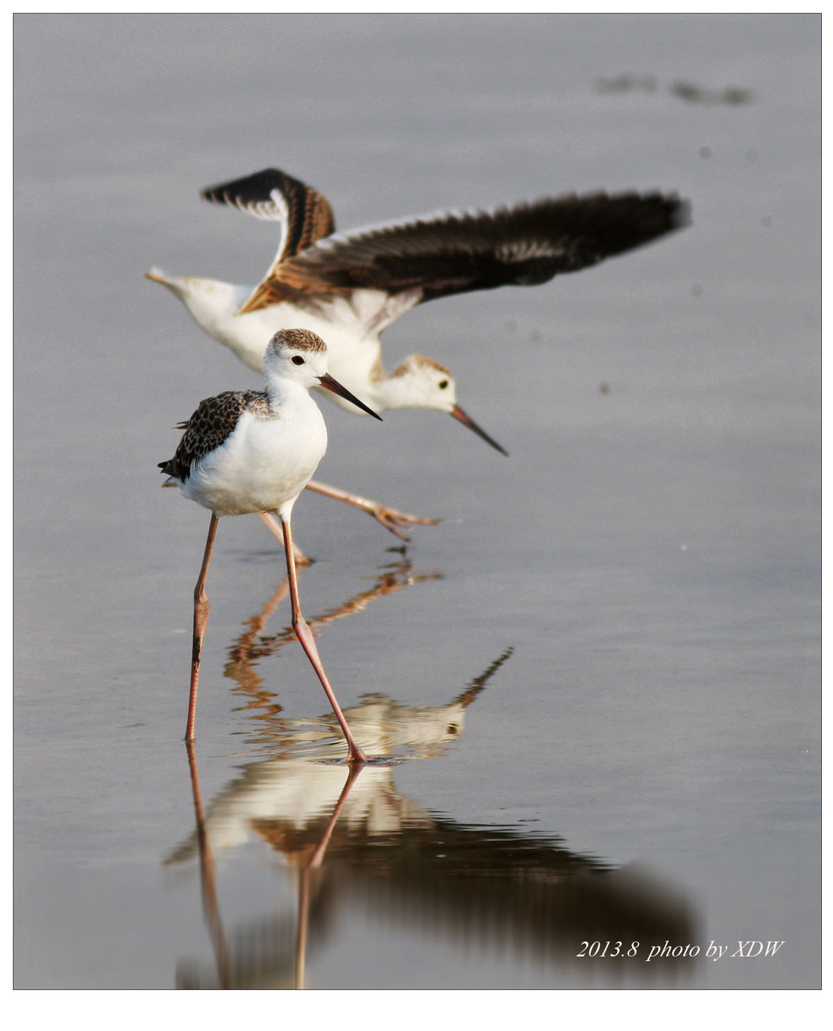 上传的图片