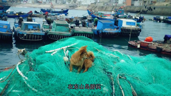 上传的图片