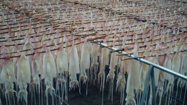 上传的图片