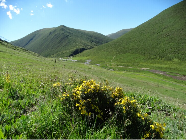 上传的图片