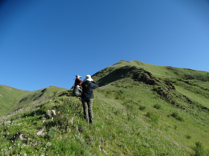 上传的图片