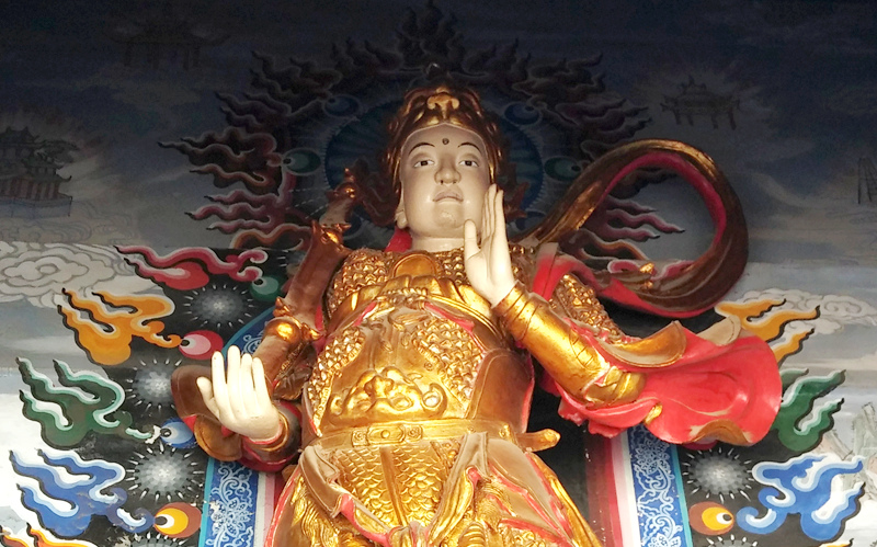 上传的图片