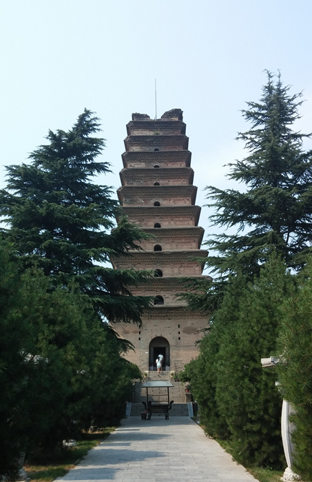 上传的图片