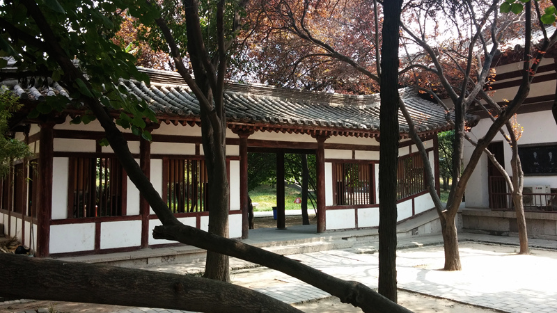 上传的图片