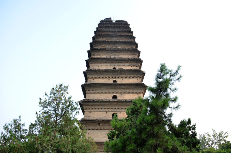 上传的图片