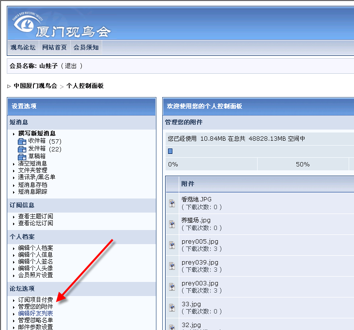上传的图片