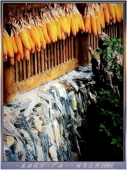 上传的图片