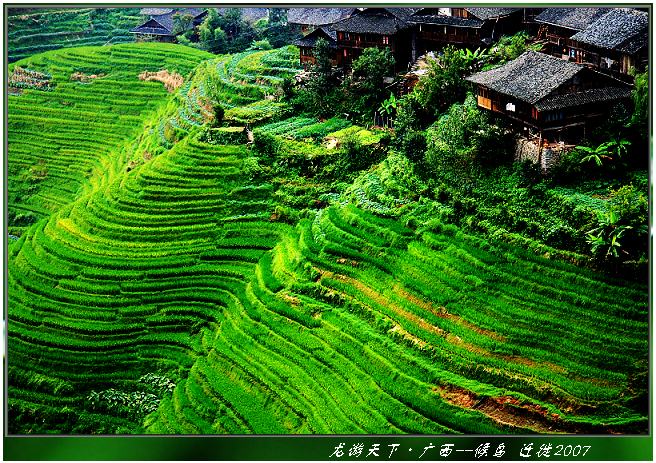 上传的图片