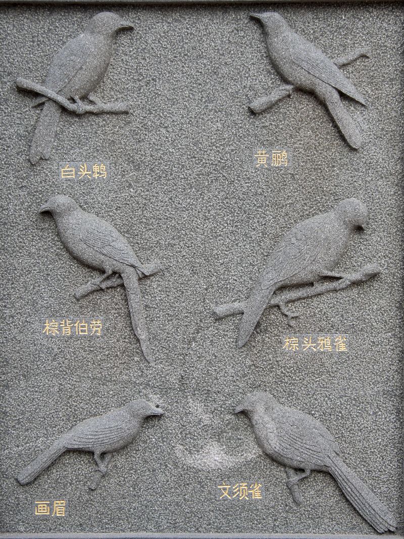 上传的图片