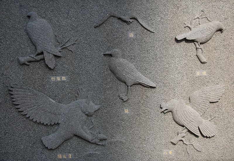 上传的图片