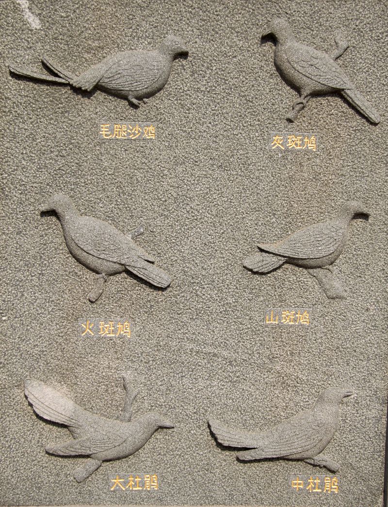 上传的图片