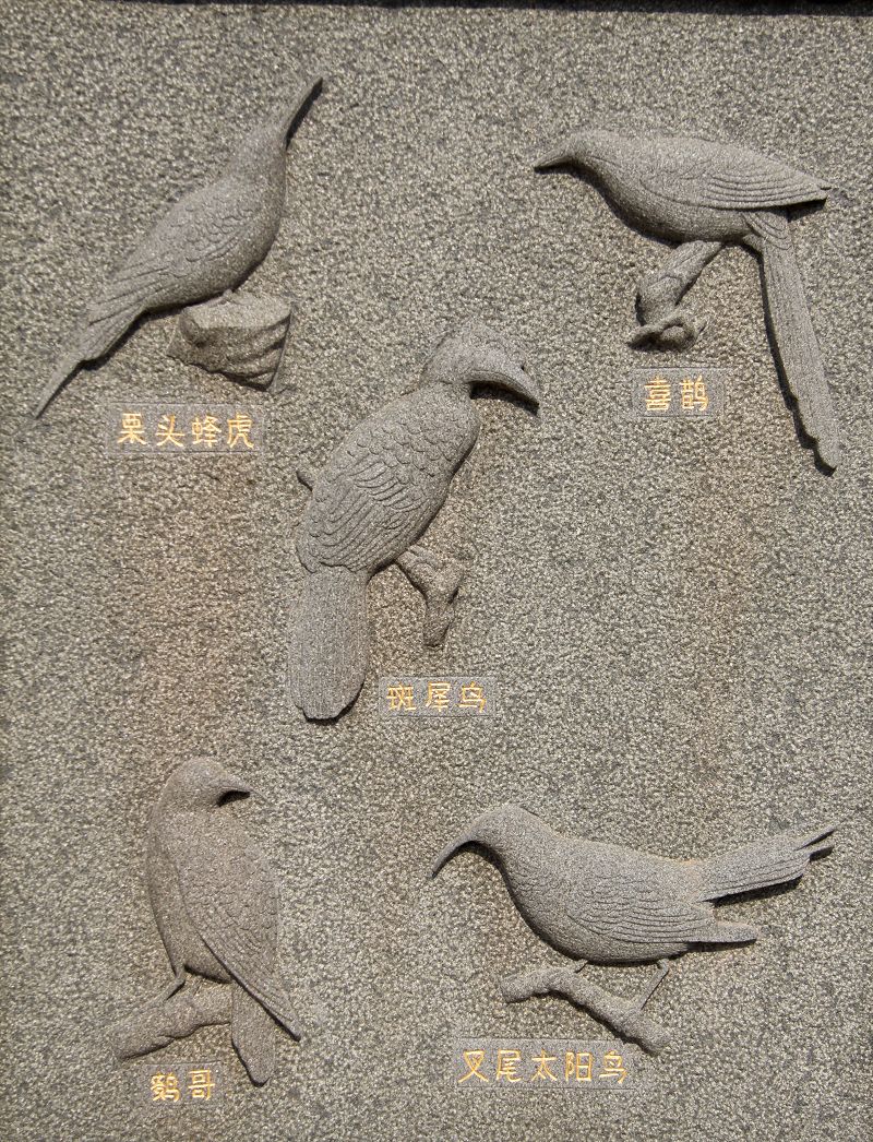上传的图片