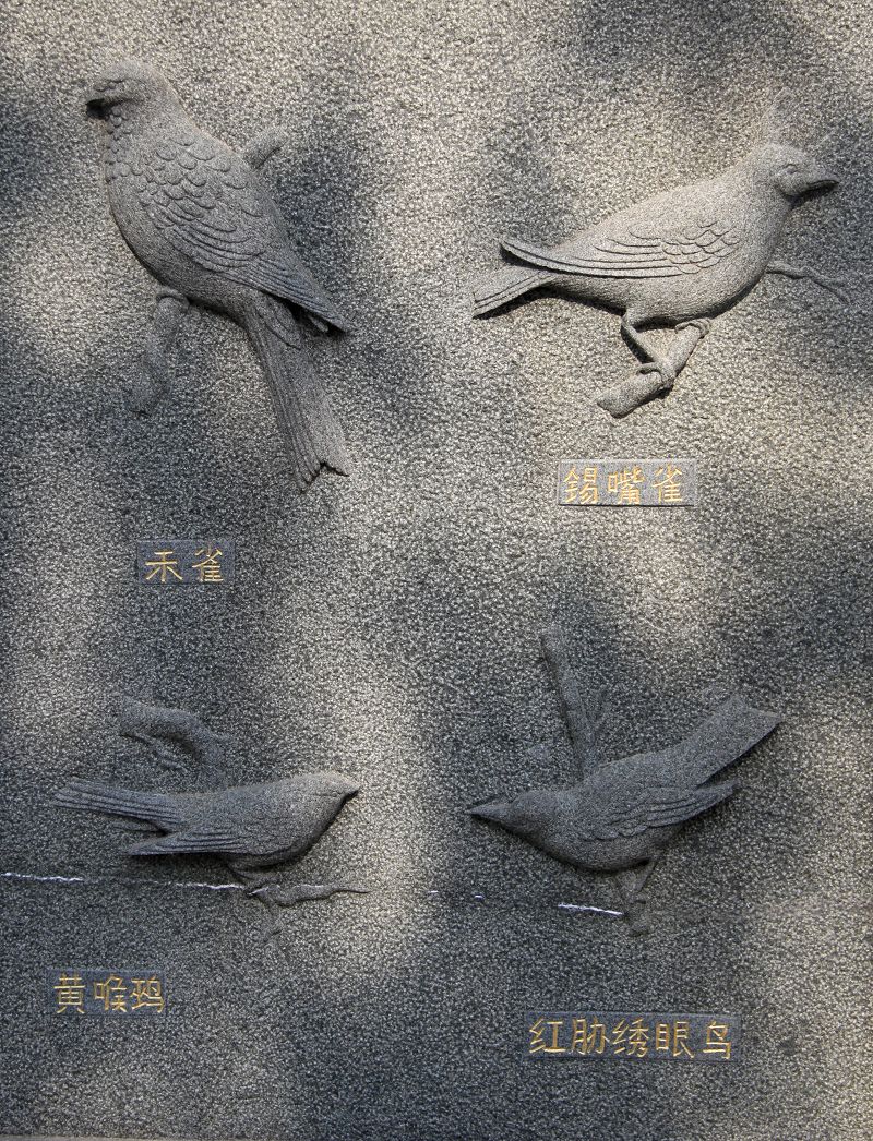 上传的图片