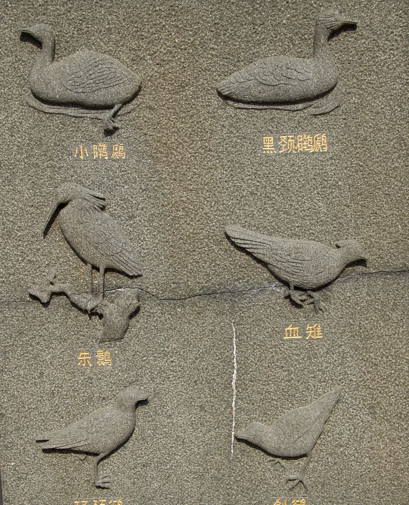 上传的图片