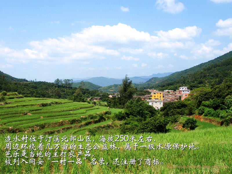 上传的图片