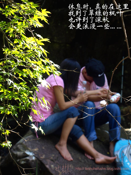 上传的图片